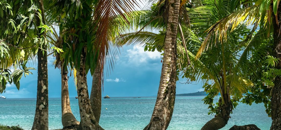 Photo Beach paradise
