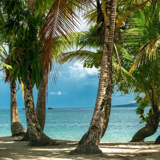 Photo Beach paradise