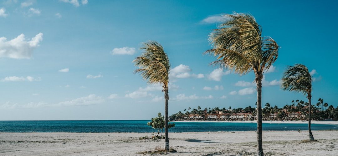 Photo Beach resort