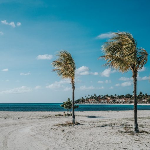 Photo Beach resort