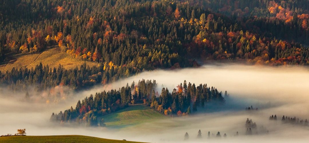 Photo pogoda we wrześniu w Bułgarii